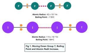 The Halogens - Group 7, The Halogens (A-Level Chemistry) - Study Mind