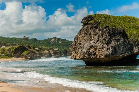 Bathsheba — Barbados - ZO ARTS Global