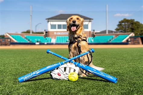 UNCW Baseball – paws4people / ADDIE's Way – Assistance Dog Placement – Wilmington, NC