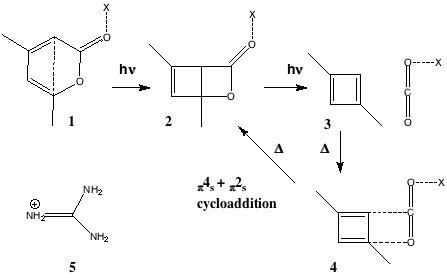 Reactions in supramolecular cavities – trapping a cyclobutadiene: ! or ? « Henry Rzepa's blog