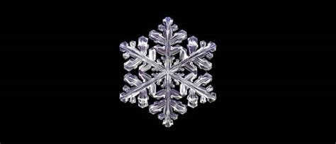 Snowflakes, Symbols of Individual Perfection | Faena