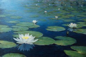 Water Lilies – John Philip