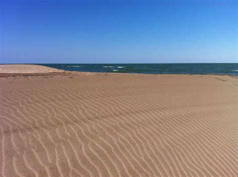 Camargue, plage du Sauvage | Plage, Camargue, Sauvage