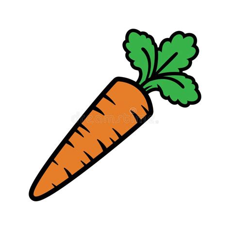 Carrot stock vector. Illustration of fresh, isolated - 57716376