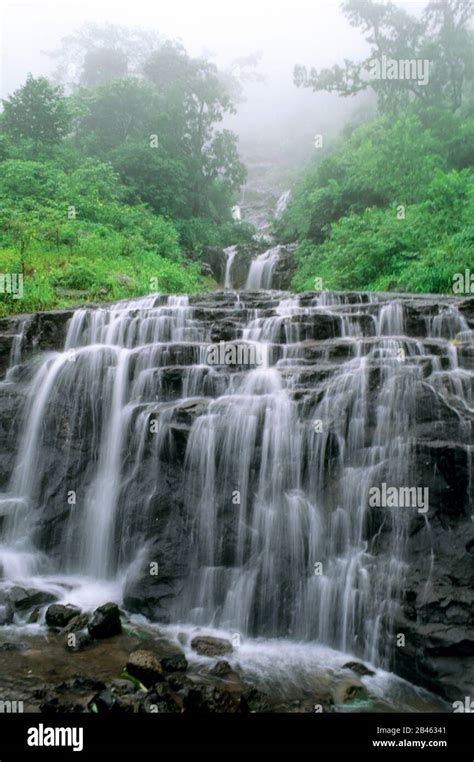 misty landscape with waterfall, malshej ghat, maharashtra, India, Asia Stock Photo - Alamy