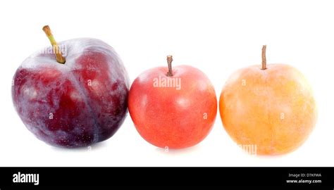 Plum Varieties High Resolution Stock Photography and Images - Alamy