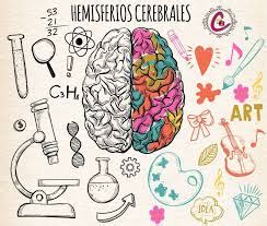 Importancia del desarrollo de la creatividad: el hemisferio derecho - Belka