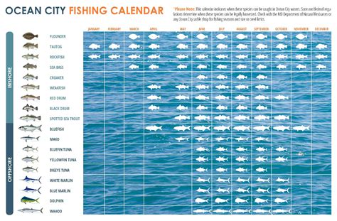 Fishing Charts For Best Time To Fish - Chart Walls