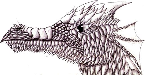 Dragon Scales Drawing at GetDrawings | Free download