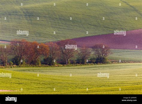 South Moravian fields Stock Photo - Alamy