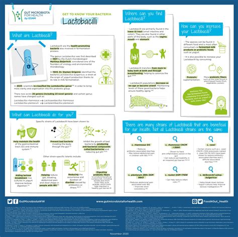 Get to know the Lactobacilli family - Gut Microbiota for Health