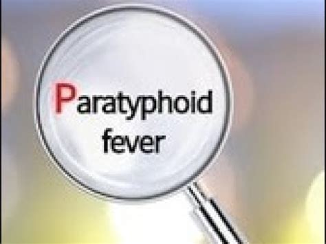 Paratyphoid fever | paratyphoid fever meaning | paratyphoid fever ...