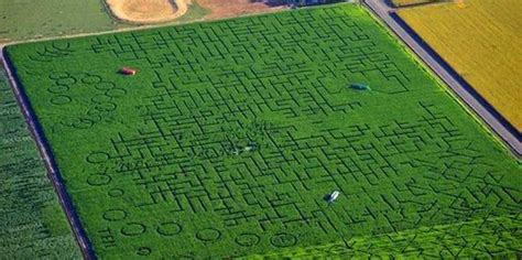 People Calling 911 From World's Biggest Corn Maze - Business Insider