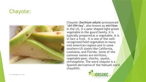 Health Benefits of Chayote - YouTube