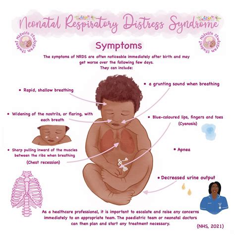 🩺🫁 Newborn/Neonatal... - Student Midwife Studygram