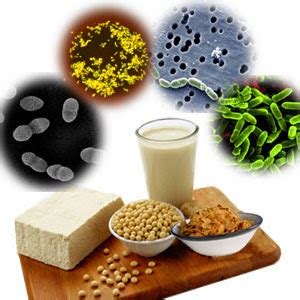 ISO 22000 Resource Center: Food Microorganisms & Food Poisoning - I