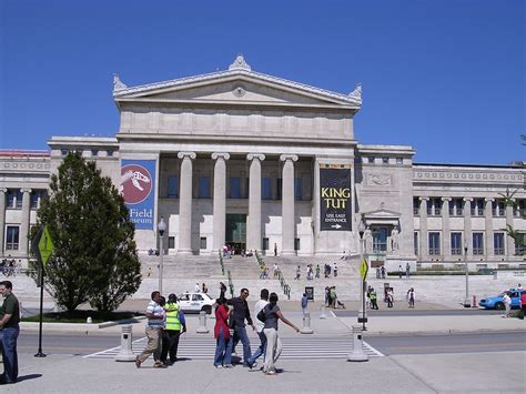 Must-See Museums in Chicago | Things To Do