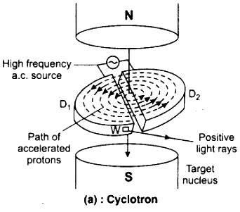 Write the working of cyclotron. Draw the arrangement diagram showing ...