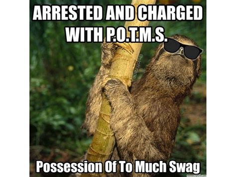 50+ Hilarious Sloth Memes To Brighten Your Day