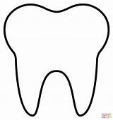 Printable Tooth Coloring Pages sketch template