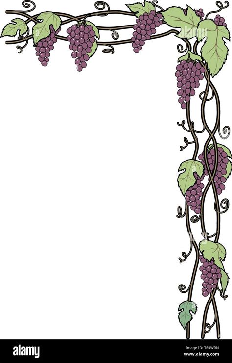 Grape Vine Border Design