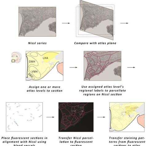 2: Overview of the Mapping Process. | Download Scientific Diagram