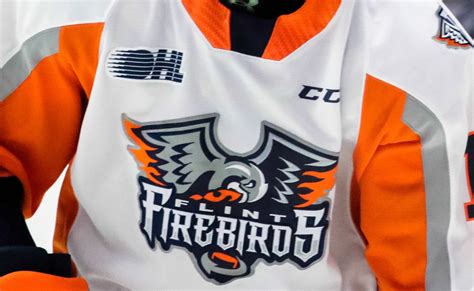 Flint Firebirds' President of Hockey Ops Expelled From OHL - The Hockey ...