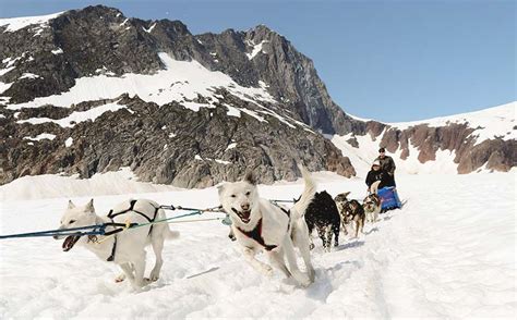 Skagway Glacier Dog Sledding & Helicopter Flightseeing Tours | Alaska ...