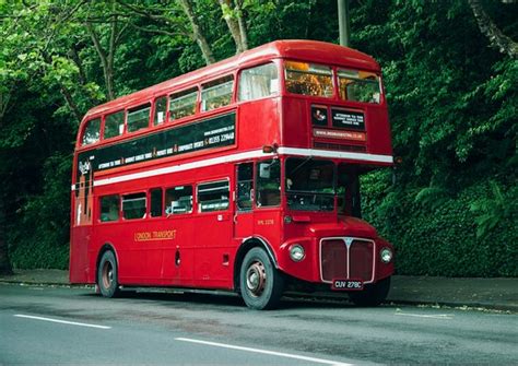 Red Bus Bistro - Afternoon Tea - Glasgow - Traveller Reviews - Red Bus ...