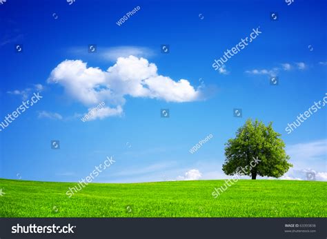 Green Planet - Earth Stock Photo 63393838 : Shutterstock