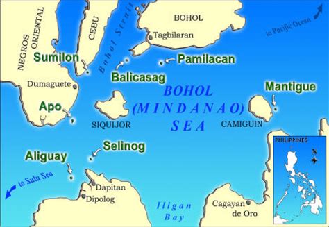 Location of the marine reserves, Sumilon and Apo. 1 | Download Scientific Diagram