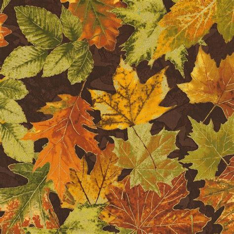 Fabric Timeless Treasures Fall Packed Leaves Metallic 100% Cotton Fabric By the yard rudisbakery.com