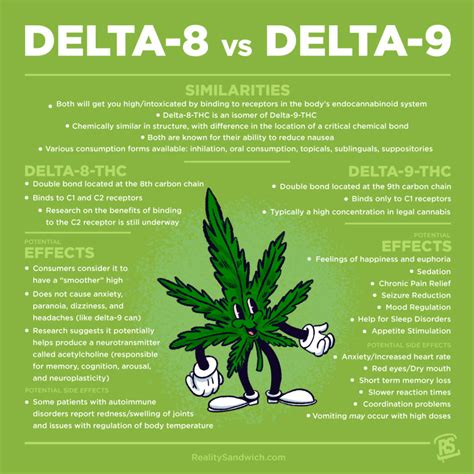 The Ultimate Guide to Delta-8-THC | Reality Sandwich