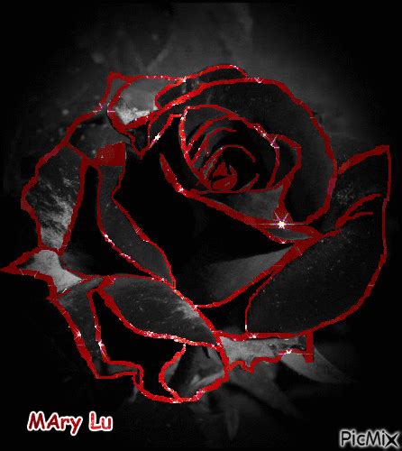 Black & red rose Happy Sabbath, Bird Clipart, Rose Color, Red Roses, Birds, Clip Art, Garden ...