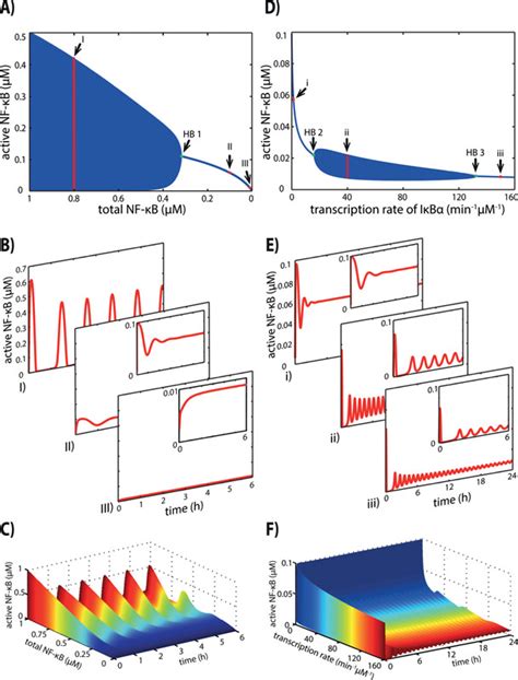 Bifurcation analysis of the core model. A: The bifurcation diagram... | Download Scientific Diagram