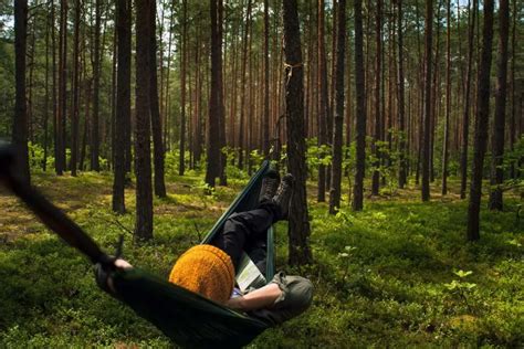 How To Hang Your Hammock Between Two Trees - The Outdoor Adventurer Network