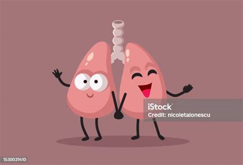 Happy Healthy Cartoon Lungs Mascot Design In Vector Style Stock ...