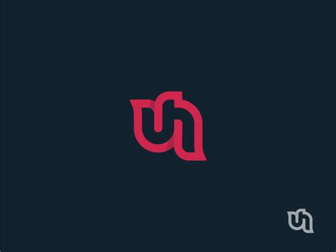 VN Logo by Vova Nurenberg on Dribbble