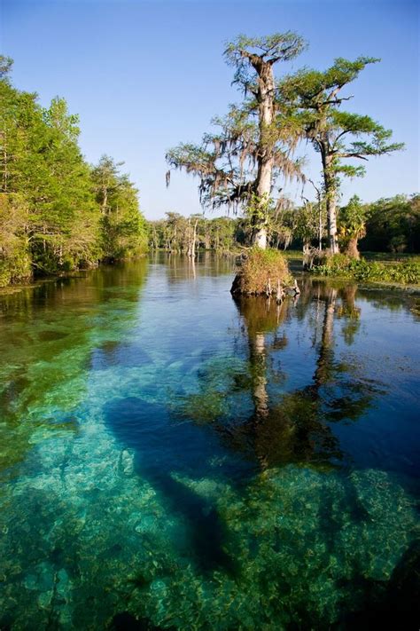 300+ best Wakulla Springs State Park images by Deb's Forgotten Coast ...