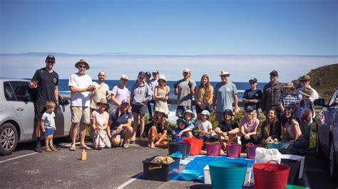 Tangaroa Blue beach clean-up rates concern at microplastics on Augusta beaches | Augusta ...