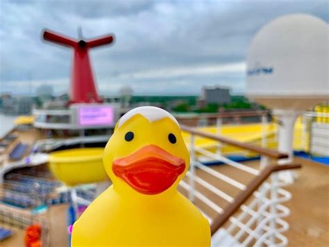 Cruise Ducks: A How-To Guide for Hiders and Seekers | Norwegian escape, Cruise, Carnival cruise