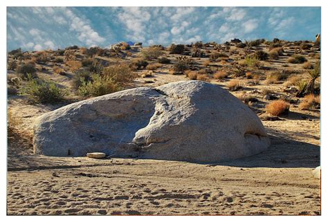 UNIQUELY JOSHUA TREE: Hiking in Coyote Hole