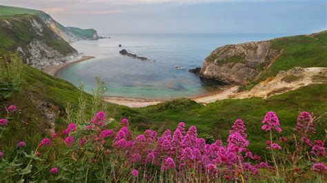 Man of War bay a part of Durdle Door at Jurassic Coast, Dorset, England, UK | Windows Spotlight ...