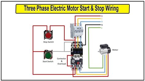 How to Make 3 Phase Electric Motor Start & Stop Wiring Diagram | 3 phase motor control wiring ...