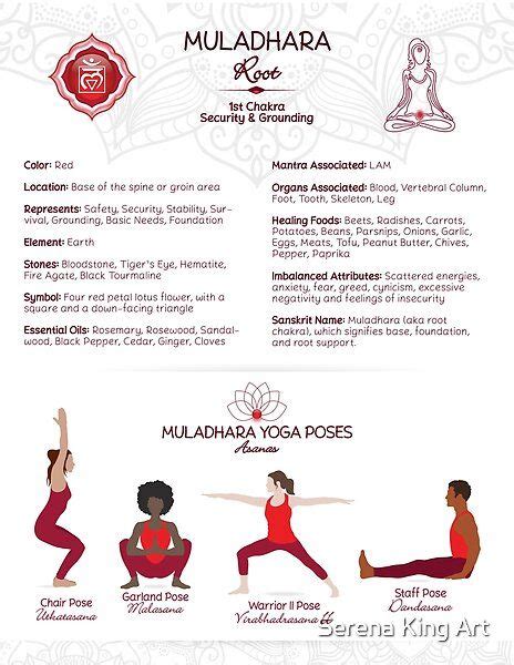 The root chakra (aka Muladhara) yoga asanas poses with chart ...