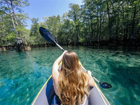 Florida Springs in 2021 | Florida springs, Kayaking, Spring nature