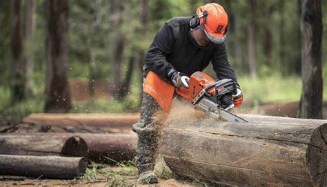 The Best Chainsaw Helmet for You: How to Choose