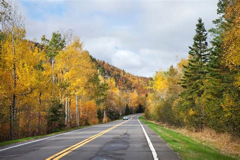 Autumn in Minnesota: Where and When to See the Fall Foliage