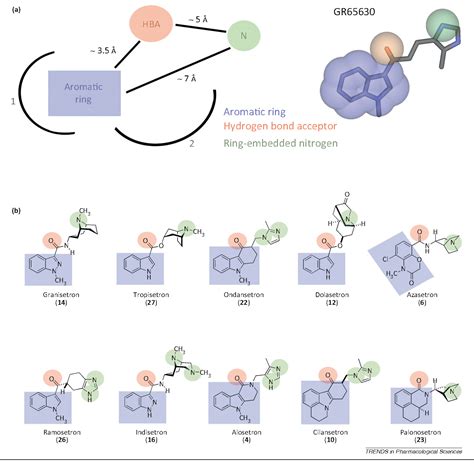 Figure 1 from Recent developments in 5-HT3 receptor pharmacology ...