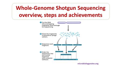 Whole-Genome Shotgun Sequencing - Microbiology Notes